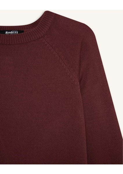 Regular Fit Bisiklet Yaka Basic Düz Triko Kazak Tunik C4474AX25WN