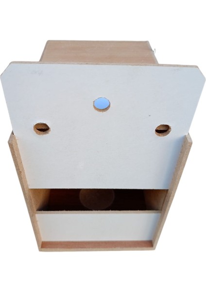 Kuş Yuvası, Muhabbet Kuşu Yuvası, Kuş Evi Ahşap fırsatları