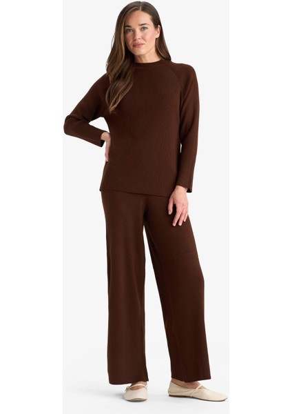 Regular Fit Bisiklet Yaka Basic Düz Triko Kazak D6911AX25WN