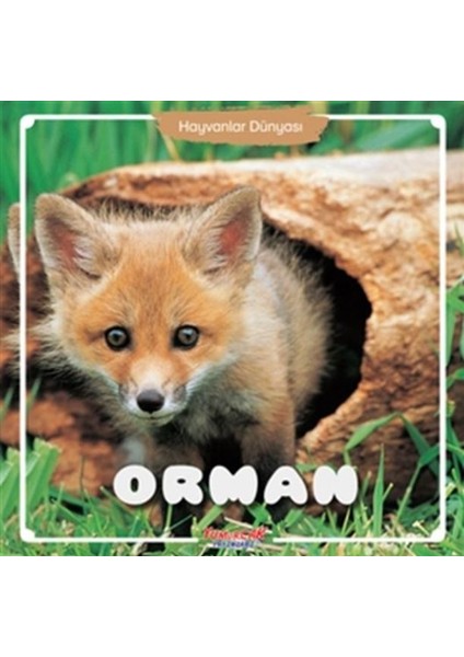 Orman - Hayvanlar Dünyası