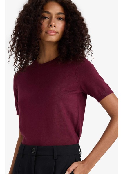 Regular Fit Bisiklet Yaka Kısa Kollu Triko Kazak D6272AX25AU