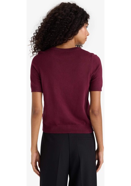 Regular Fit Bisiklet Yaka Kısa Kollu Triko Kazak D6272AX25AU