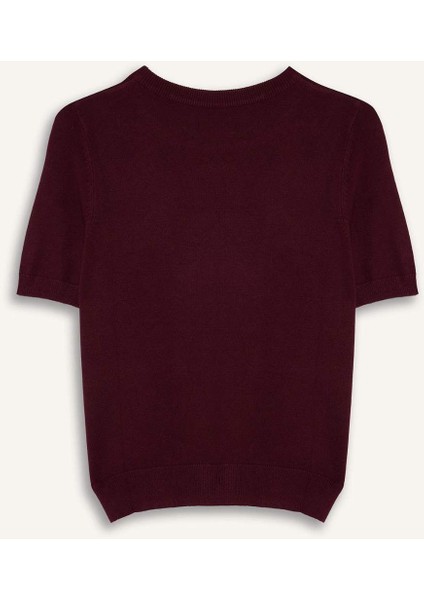 Regular Fit Bisiklet Yaka Kısa Kollu Triko Kazak D6272AX25AU