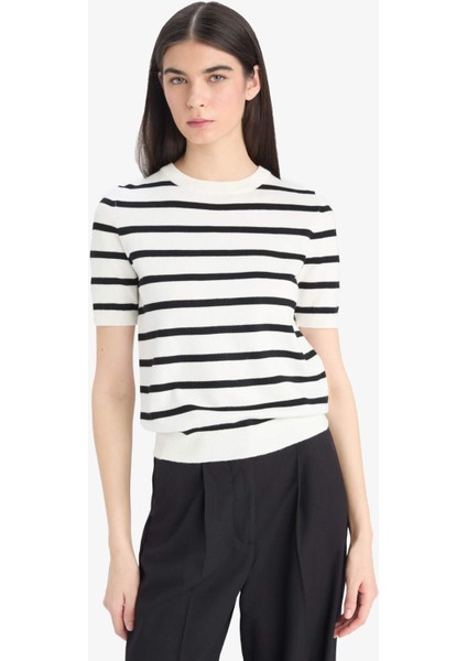 Regular Fit Bisiklet Yaka Çizgili Kısa Kollu Triko Kazak D6271AX25AU