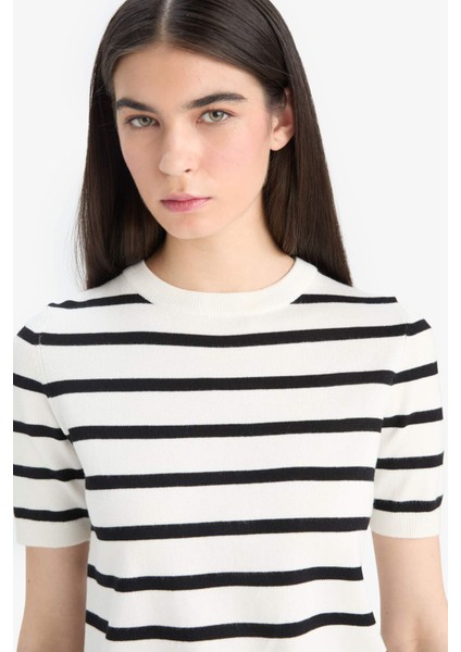 Regular Fit Bisiklet Yaka Çizgili Kısa Kollu Triko Kazak D6271AX25AU