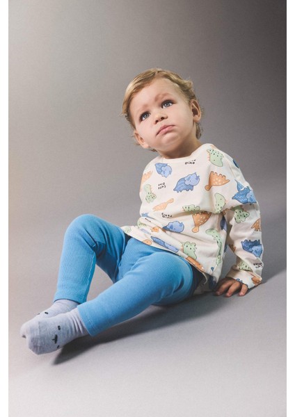 Erkek Bebek Yenidoğan Dinozor Baskılı Penye 2'li Uzun Kollu Tişört F0124A525AU