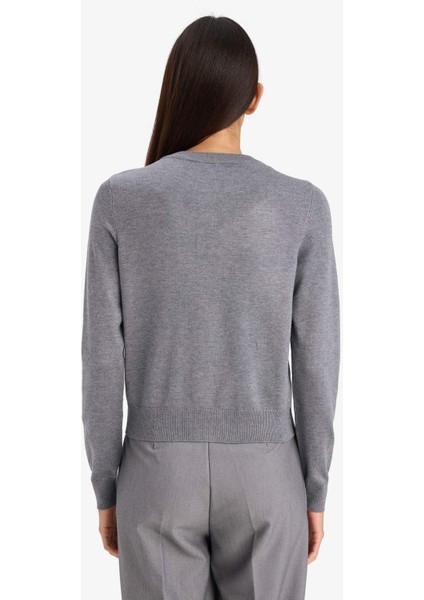 Regular Fit Bisiklet Yaka Basic Düz Düğmeli Triko Hırka D6282AX25AU