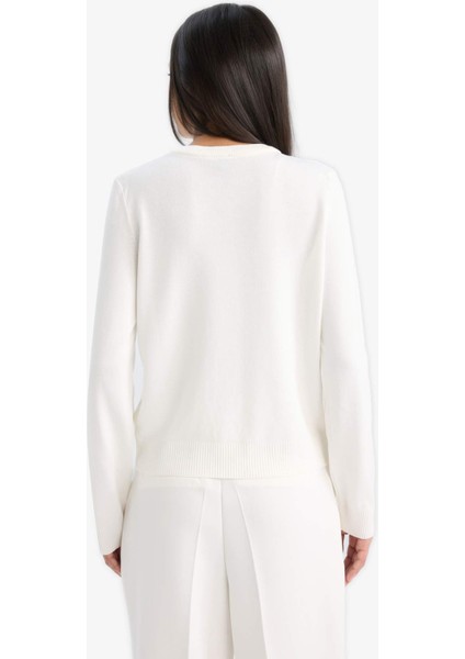 Regular Fit Bisiklet Yaka Basic Düz Düğmeli Triko Hırka D6282AX25AU