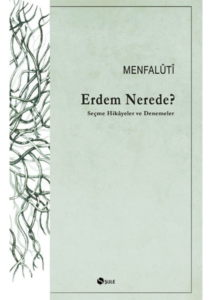 Erdem Nerede? Seçme Hikayeler ve Denemeler