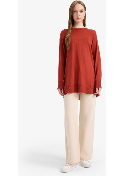 Regular Fit Bisiklet Yaka Basic Düz Triko Kazak Tunik C4474AX25WN