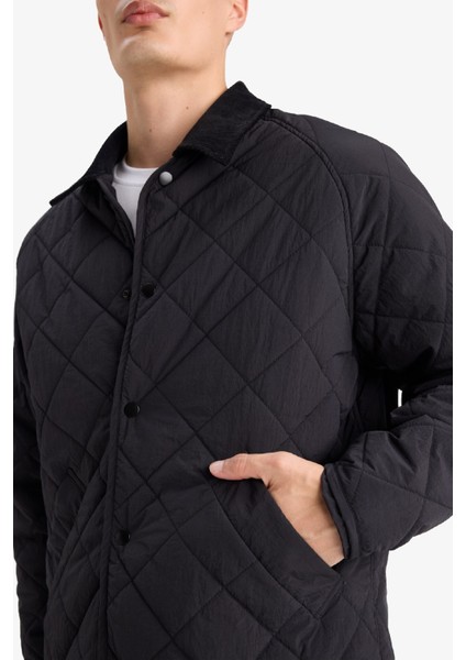 Regular Fit Gömlek Yaka Çıtçıtlı Kapitoneli İç Cepli Mont F0956AX25AU