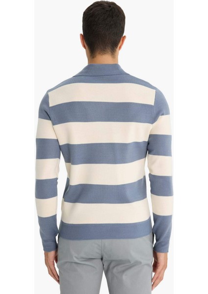 Standart Fit Polo Yaka Düğmeli Renk Bloklu Triko Kazak Y4194AZ25WN