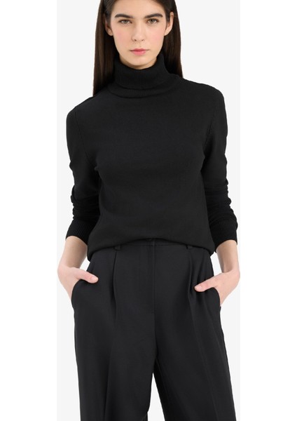 Regular Fit Yarım Balıkçı Yaka Triko Kazak E8498AX25WN