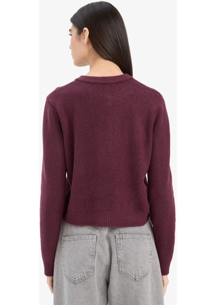 Regular Fit Bisiklet Yaka Basic Düz Düğmeli Soft Touch Yumuşak Triko Hırka E3654AX25WN