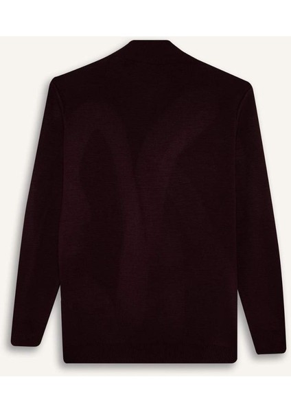 Standart Fit Normal Kesim Dik Yaka Yarım Fermuarlı Basic Düz Triko Kazak A5184AX25AU