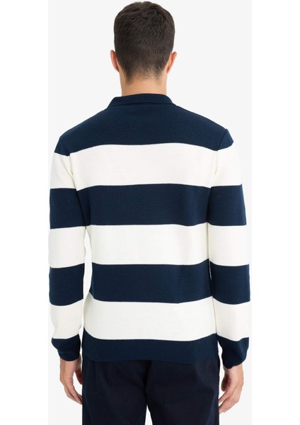 Standart Fit Polo Yaka Düğmeli Renk Bloklu Triko Kazak Y4194AZ25WN