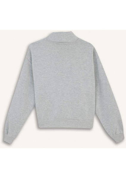 Relax Fit Yarım Balıkçı Yaka Baskılı Kalın Fermuarlı Sweatshirt E9507AX25AU