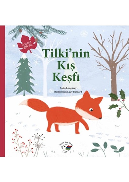Tilki’nin Kış Keşfi – Doğada Bir Yıl