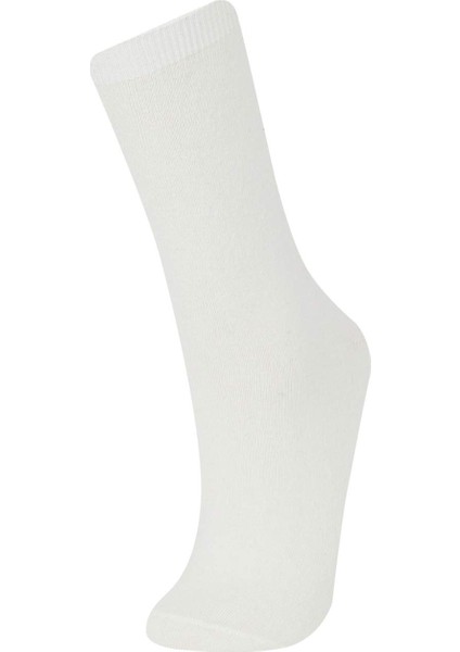 Kadın 5'li Uzun Çorap F3185AXNS