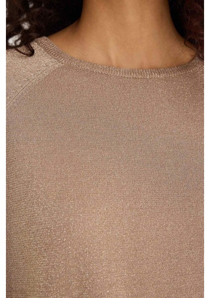 Regular Fit Bisiklet Yaka Triko Kazak C6818AX25WN