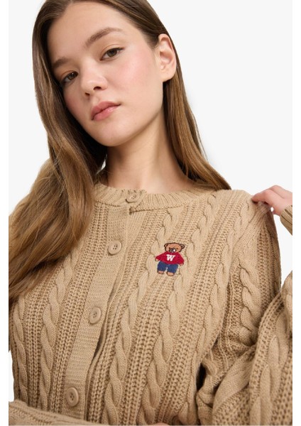 Regular Fit Bisiklet Yaka Düğmeli Triko Hırka E8237AX25WN