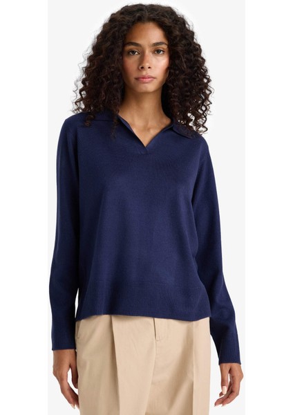 Regular Fit Polo Yaka Triko Kazak F0405AX25WN