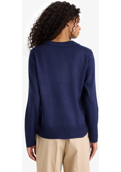 Regular Fit Polo Yaka Triko Kazak F0405AX25WN