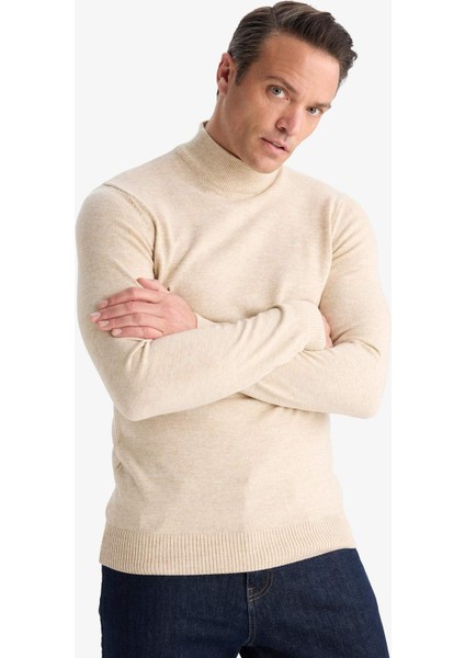 Slim Fit Dar Kesim Balıkçı Yaka Basic Düz Triko Kazak R1127AZ25WN