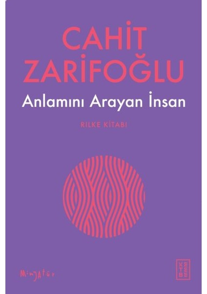 Anlamını Arayan Insan