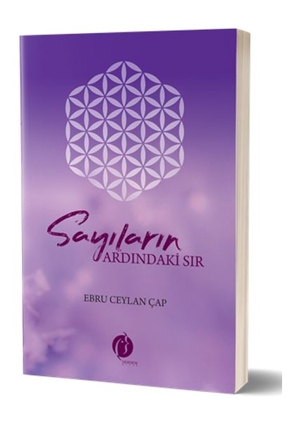 Sayıların Ardındaki Sır