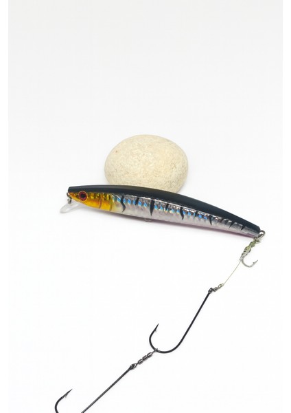 Rapala Arkası Uzun Olta Takımı (12 cm Rapala – 2/0 Cannelle Iğne)