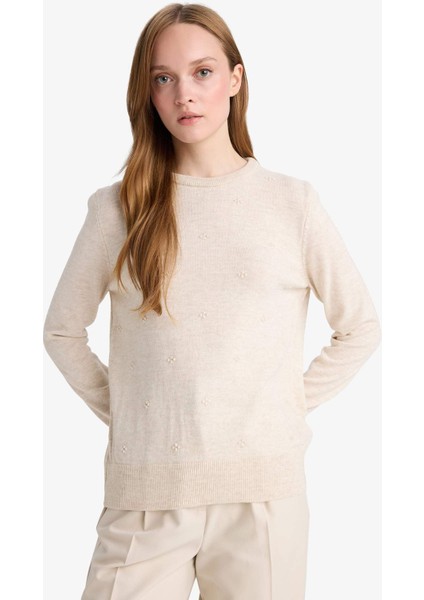 Regular Fit Bisiklet Yaka Triko Kazak F4084AX25WN