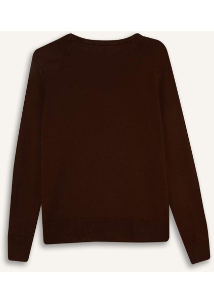 Regular Fit Bisiklet Yaka Triko Kazak F4084AX25WN