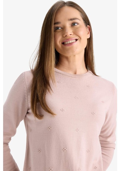 Regular Fit Bisiklet Yaka Triko Kazak F4084AX25WN