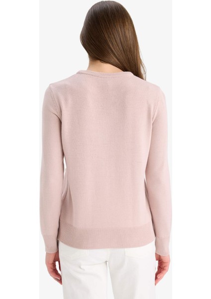 Regular Fit Bisiklet Yaka Triko Kazak F4084AX25WN