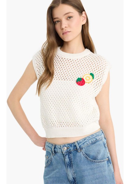 Coool Bisiklet Yaka Meyve Nakışlı Kroşe Süveter F4009AX25SM