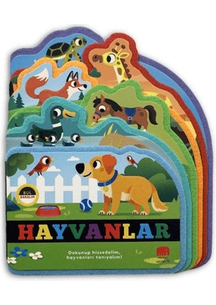 Bul Bakalım Hayvanlar