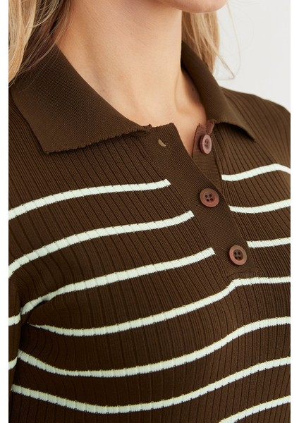 Çizgili Polo Yaka Yarım Düğmeli Triko Kazak indirimleri