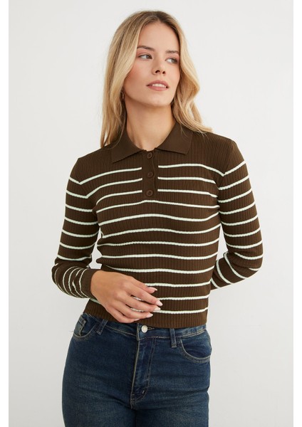 Çizgili Polo Yaka Yarım Düğmeli Triko Kazak