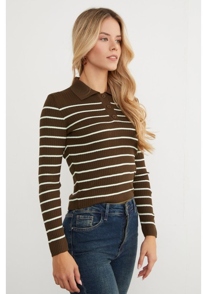 Çizgili Polo Yaka Yarım Düğmeli Triko Kazak