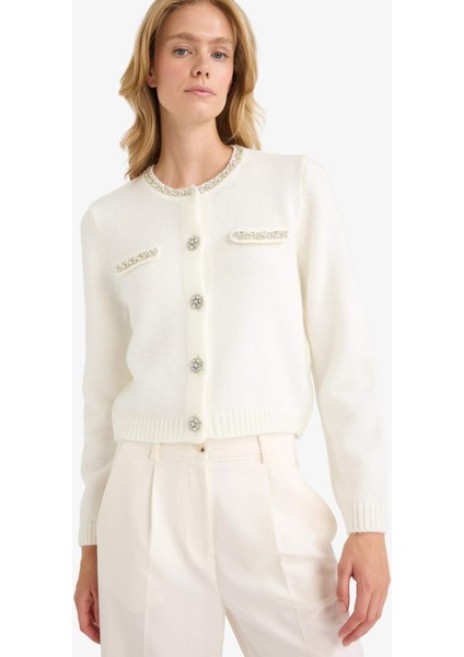 Regular Fit Bisiklet Yaka İşlemeli Triko Hırka F3896AX25WN