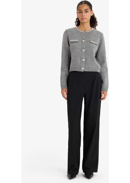 Regular Fit Bisiklet Yaka İşlemeli Triko Hırka F3896AX25WN