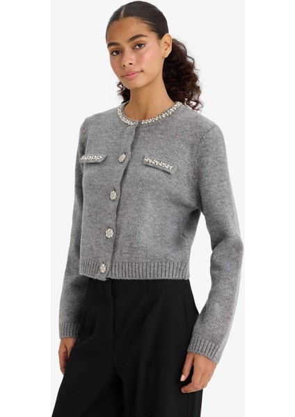 Regular Fit Bisiklet Yaka İşlemeli Triko Hırka F3896AX25WN