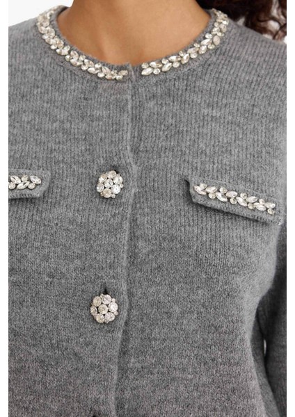 Regular Fit Bisiklet Yaka İşlemeli Triko Hırka F3896AX25WN