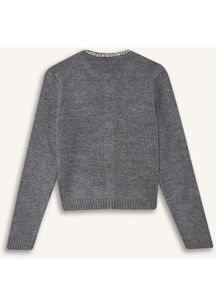 Regular Fit Bisiklet Yaka İşlemeli Triko Hırka F3896AX25WN