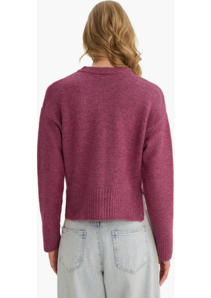 Regular Fit Bisiklet Yaka Düğmeli Triko Hırka F3031AX25WN