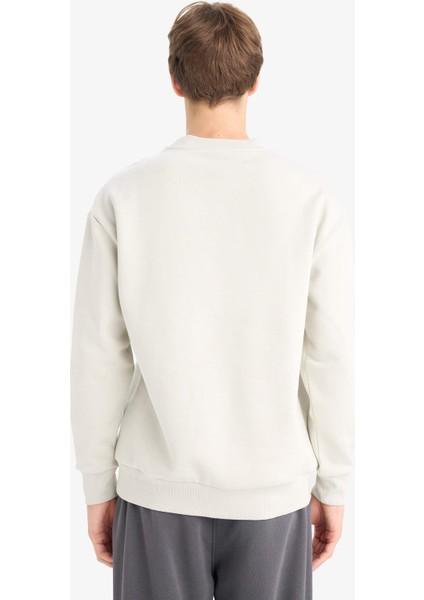 Boxy Fit Bisiklet Yaka İçi Yumuşak Tüylü Baskılı Sweatshirt X8282AZ25AU