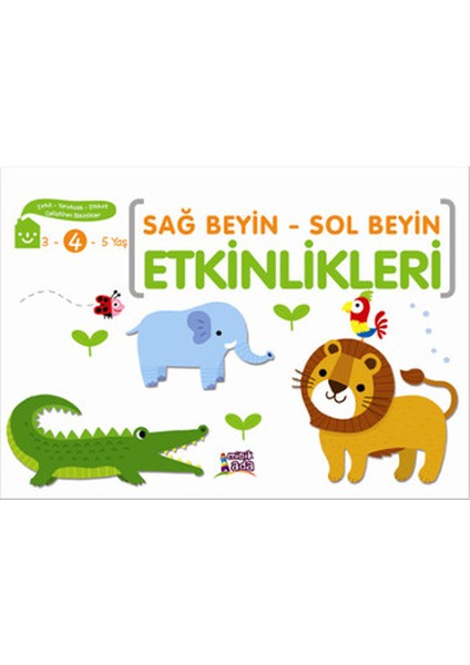 Sağ Beyin - Sol Beyin Etkinlikleri (4 Yaş)