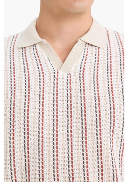 Regular Fit Polo Yaka Çizgili Kısa Kollu Tişört F1858AX25AU