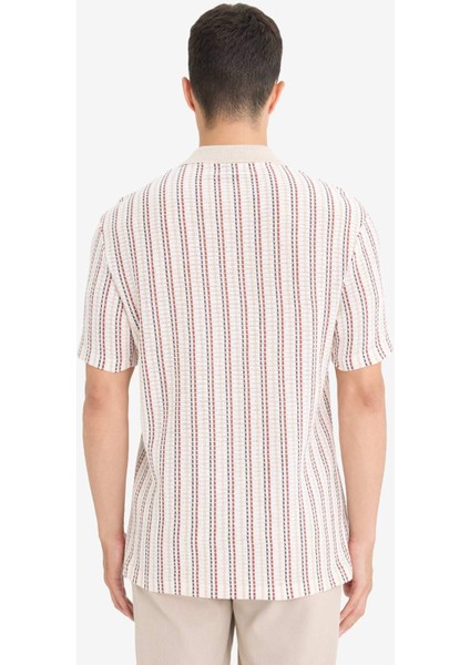 Regular Fit Polo Yaka Çizgili Kısa Kollu Tişört F1858AX25AU